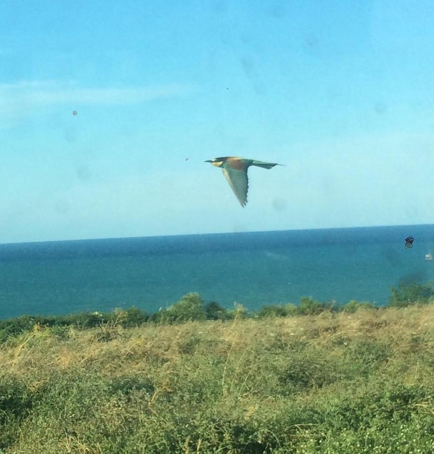 Agriturismo La Costa Dei Trabocchi Торіно-ді-Санґро Екстер'єр фото